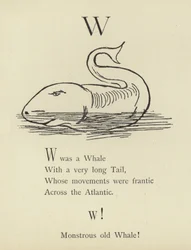 De letter W